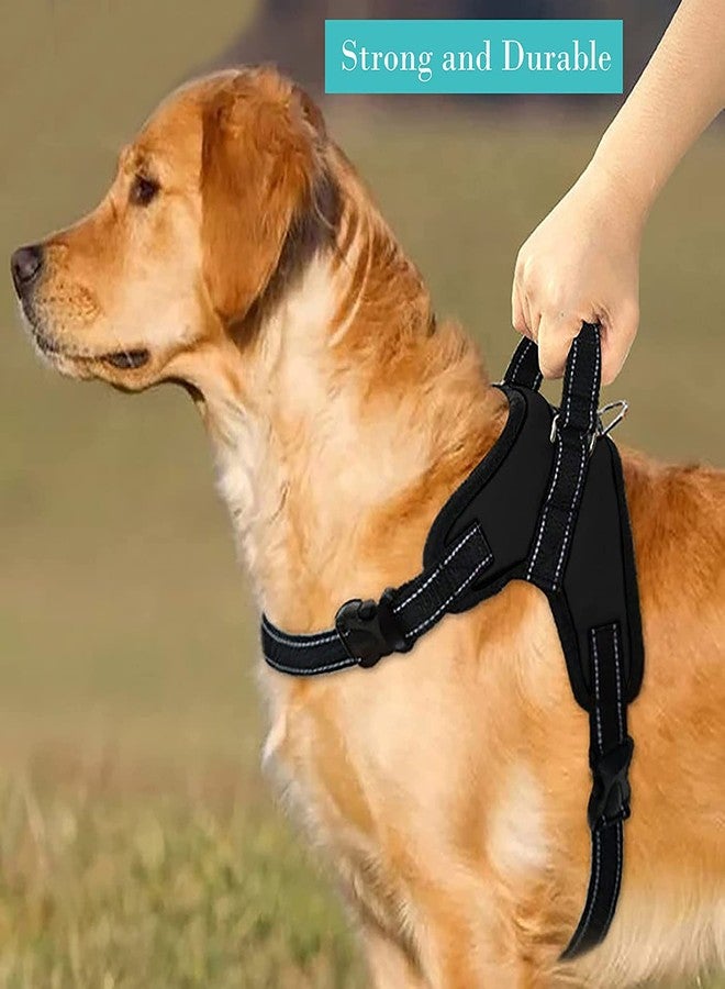KittuPet Dog Harness, Adjustable Dog Body Belt for Large Small Medium Dogs and cat Rabbit All Breeds Animal (Medium, Black) - Image 3